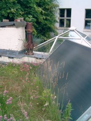 BV.AltFischerStr.QG-OG1